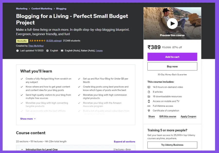 best blogging courses for beginners in india